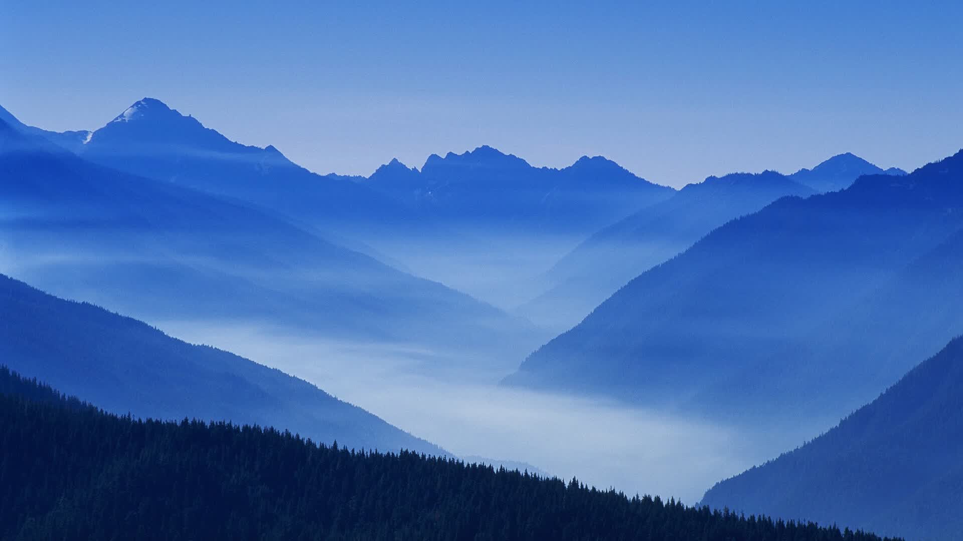 世界举重公开赛争议成绩经复核确认,世界举重锦标赛